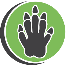 TJs Rabbit Extermination