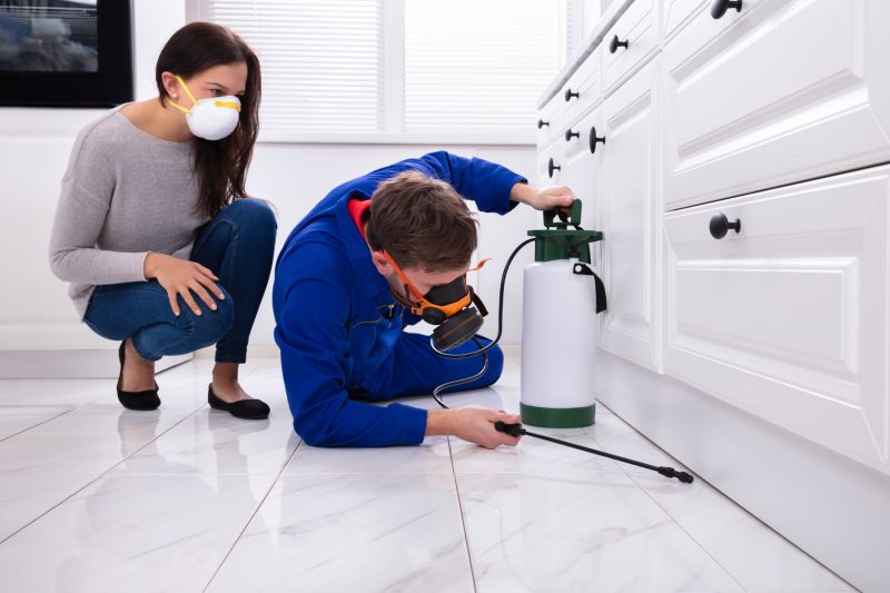 Yard Insect Treatment in Frisco, TX